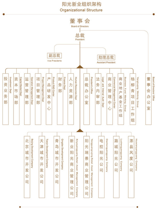 阳光新业组织架构